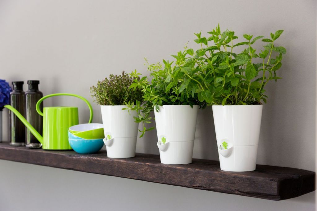 EMSA - Pots à herbes intelligents