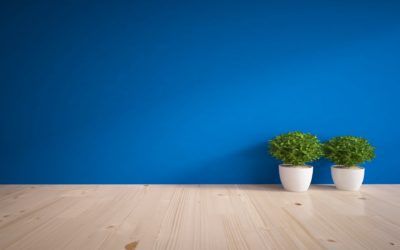 Top des meilleurs pots de fleurs intelligents et connectés Jardinières Intelligentes