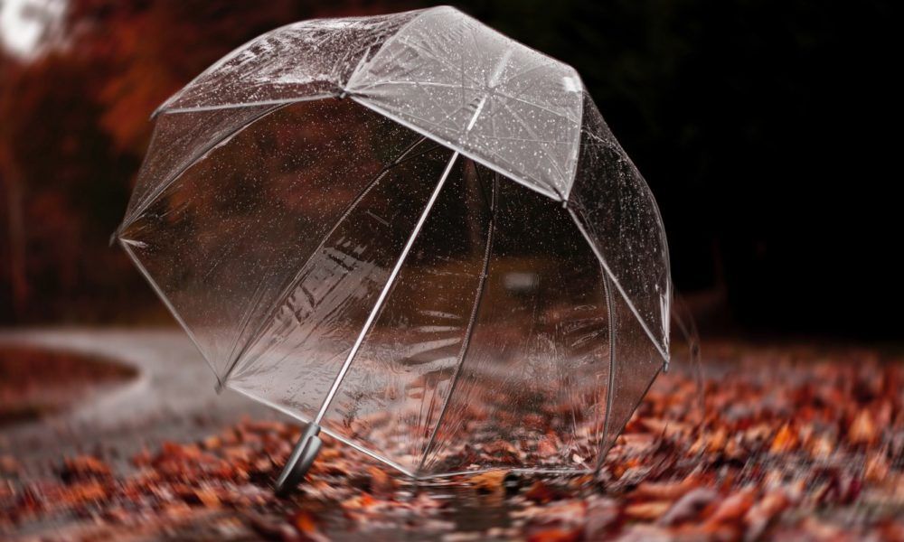 Les meilleurs parapluies résistants aux intempéries en fonction du type d'usage.