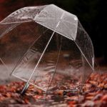 Les meilleurs parapluies résistants aux intempéries en fonction du type d'usage.