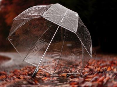 Les meilleurs parapluies résistants aux intempéries en fonction du type d'usage.
