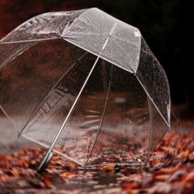 Les meilleurs parapluies résistants aux intempéries en fonction du type d'usage.