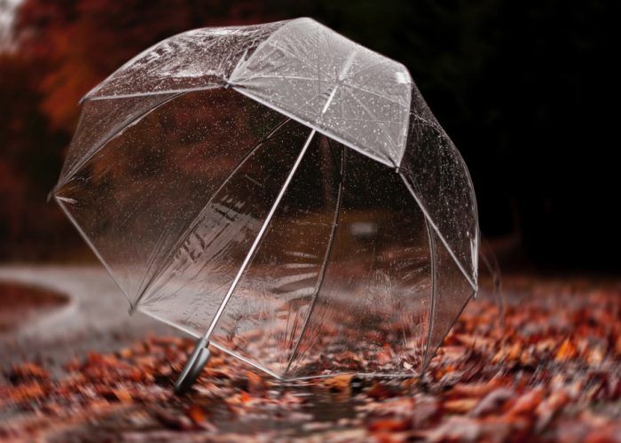 Les meilleurs parapluies résistants aux intempéries en fonction du type d'usage.